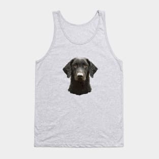 Curly Coated Retriever Tank Top